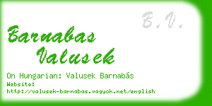 barnabas valusek business card
